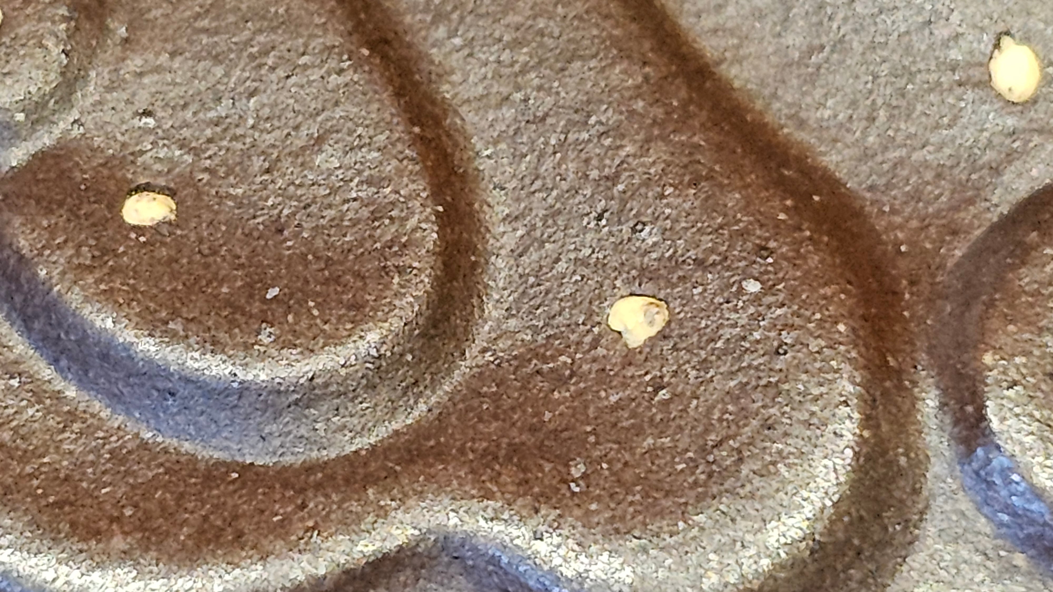 《禅莲宝瓶》"Chan Lian Bao Ping", 215.9ml, High Fired ~ Gao Wen Zi Ni, Ornate Ru Yi Motif Clay Sculpting! with Gold Appliqué! ~ Brand New Design & Crafted by L3A Consummate Master Artist Li Yan Ru ~ Congrats to Mr J.G.! 1235hrs 29th Nov, New Orleans! LA!