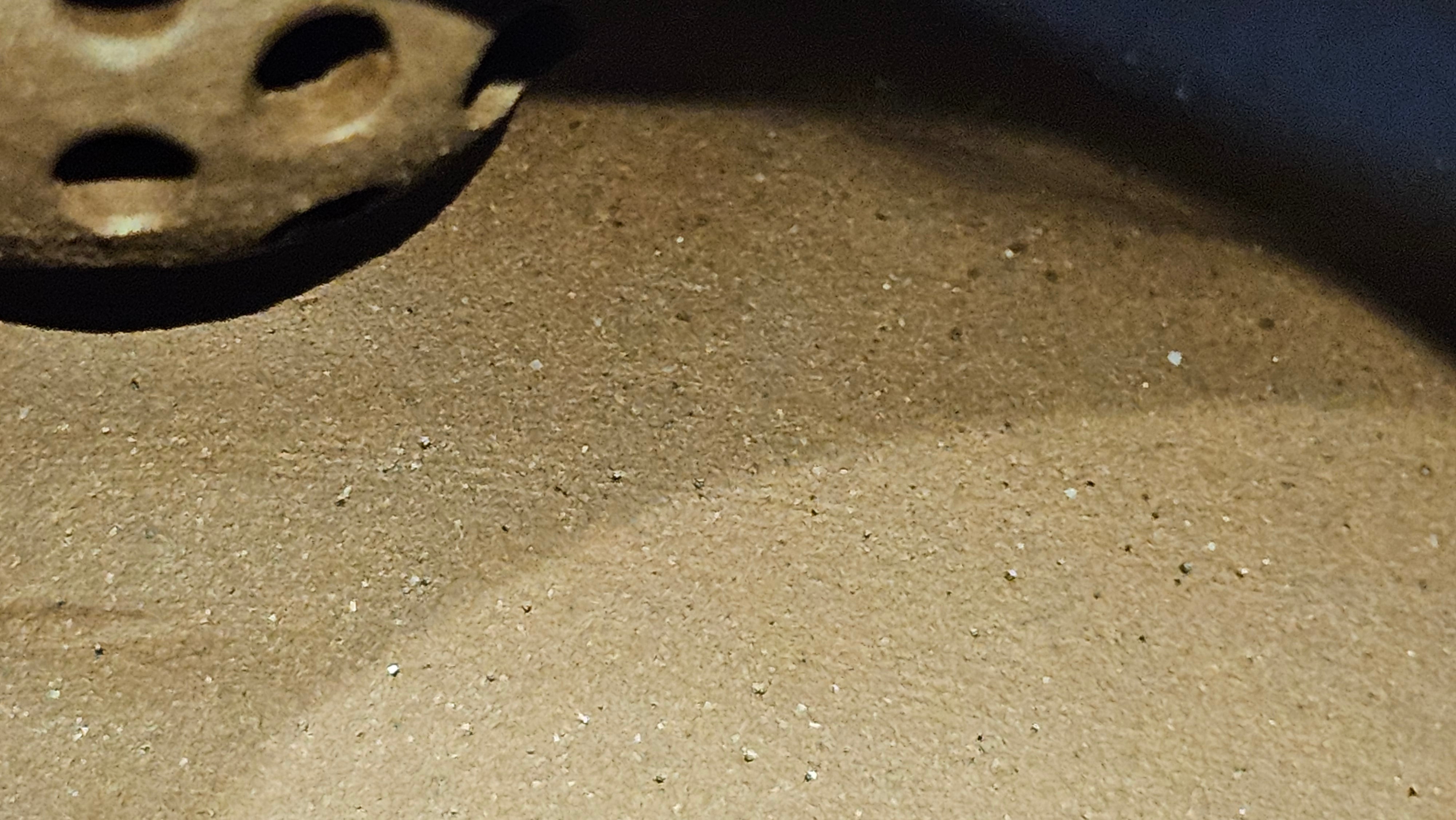 《禅莲宝瓶》"Chan Lian Bao Ping", 215.9ml, High Fired ~ Gao Wen Zi Ni, Ornate Ru Yi Motif Clay Sculpting! with Gold Appliqué! ~ Brand New Design & Crafted by L3A Consummate Master Artist Li Yan Ru ~ Congrats to Mr J.G.! 1235hrs 29th Nov, New Orleans! LA!