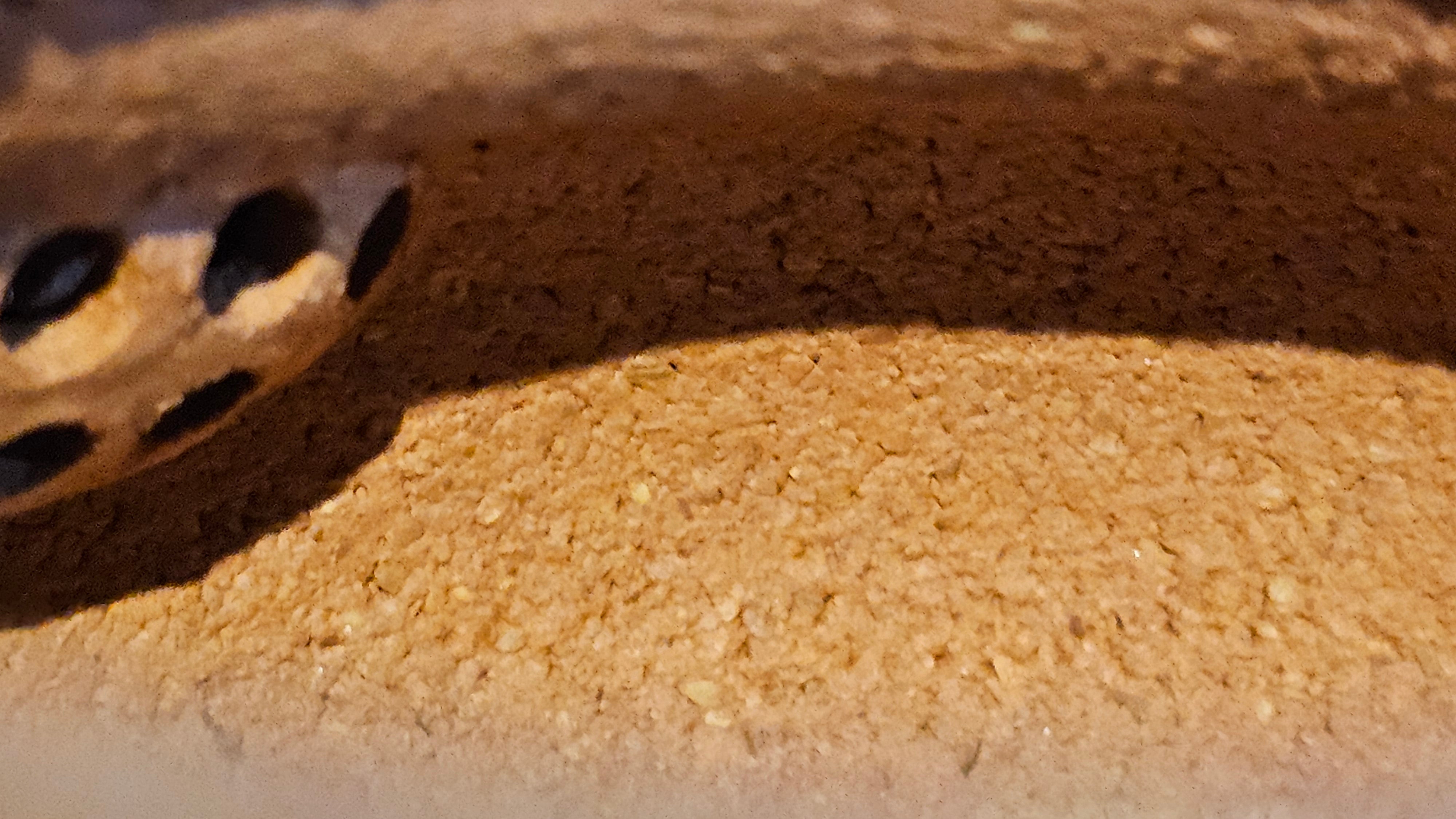 Fang Gu 仿古, 204.6ml, Huang Jiang Po Ni 黄降坡泥, by Craftsman Chen Fa Chu 陈法初 ~ Congratulations!to Prof H.T.! 1330hrs 1st Dec 2025, Venice! CA!