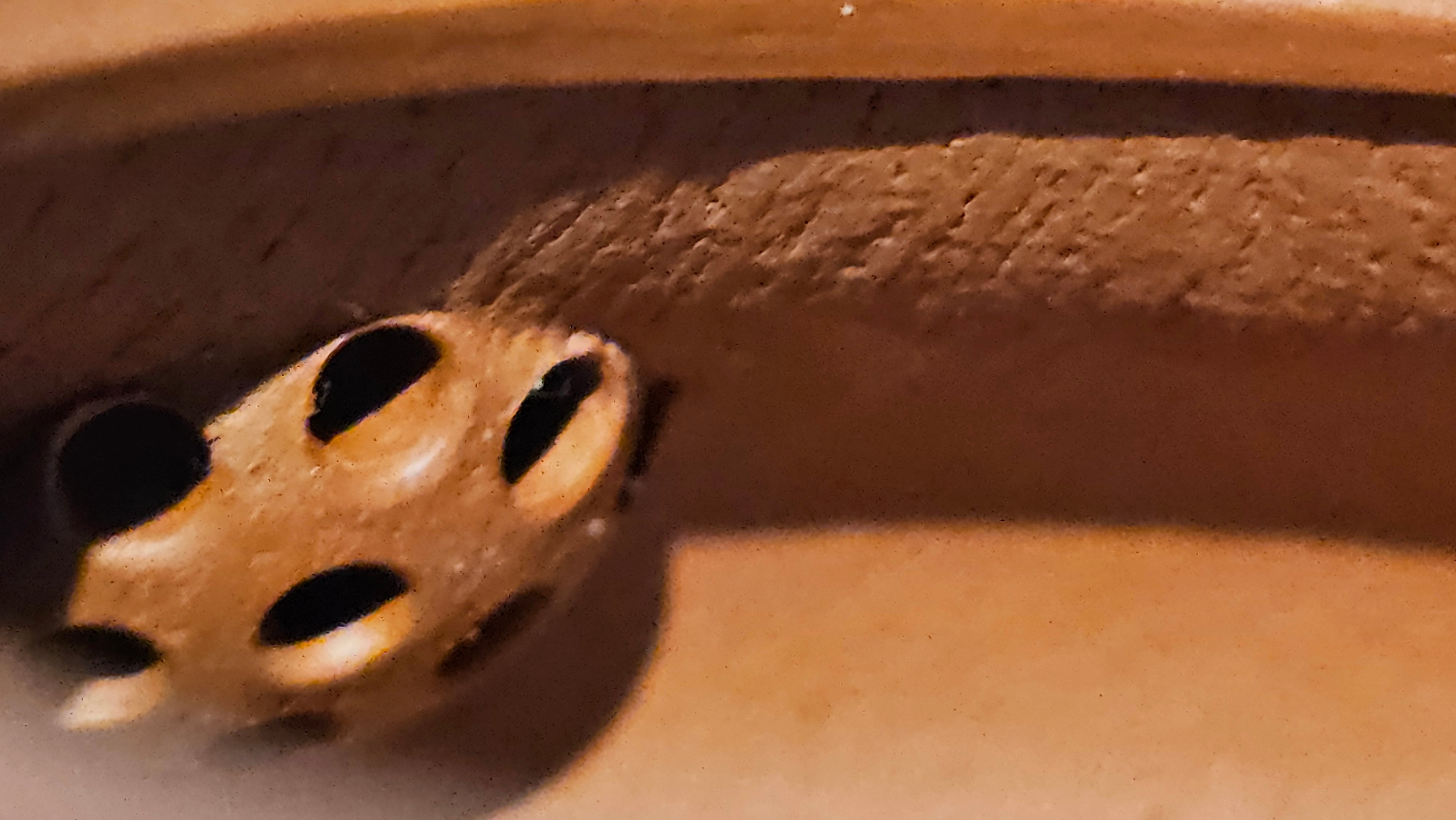 Jing Le 静乐 ~ "Quiet happiness", 79.8ml, Xiao Mei Yao Zhu Ni 小煤窑朱泥, by our Collaborative Craftsman Wang Xing 王兴 ~ Congratulations!to Mr J.T.! 1415hrs 1st Dec 2025, Fargo! ND!