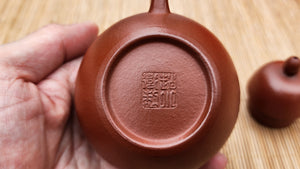 Si Ting 思亭, 136ml, XiaoMeiYao ZhuNi 小煤窑朱泥, by our collaborative Craftsman Zhao Xiao Wei 赵小卫。